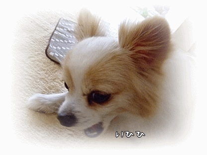 盗っ人