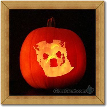 ハロウィンb