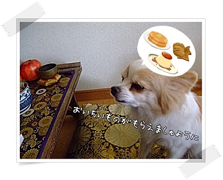もらえましゅように♪