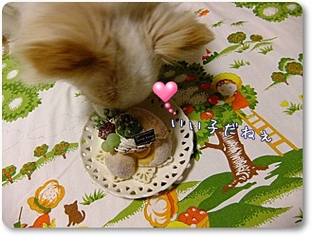 いい子♪