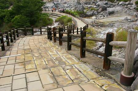 IMGP0541