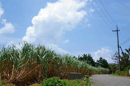 IMGP9603