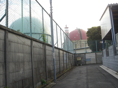 堤防を下りて移動。　赤いのを近くで見たい。　この路地を入ってみよう。　DSC01601