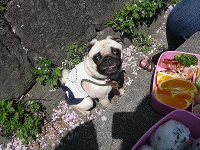 てへへ