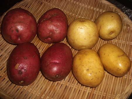 IMGP4967