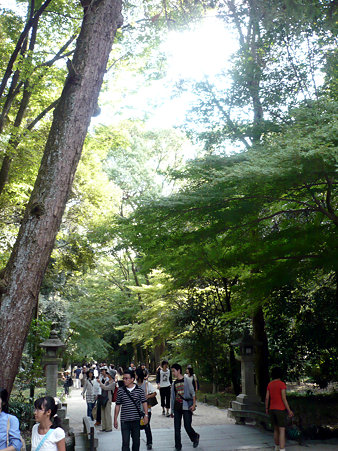 tadasunomori