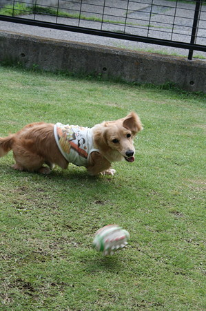 取るなりお~!!