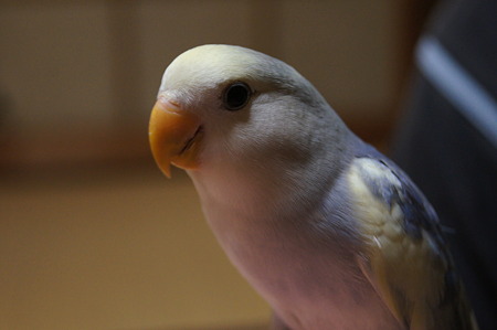 DSC00134