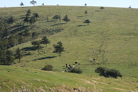 2009091324