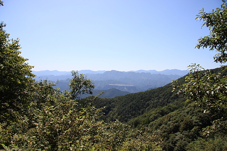 2009092061