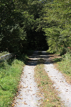 2009092060