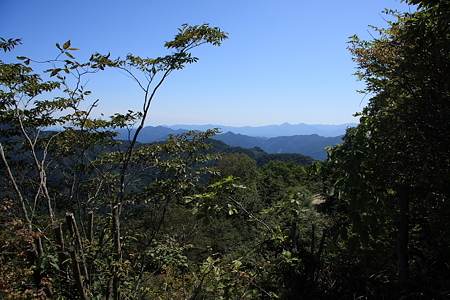 2009092076