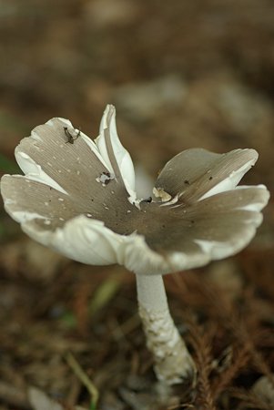 20090628_094346