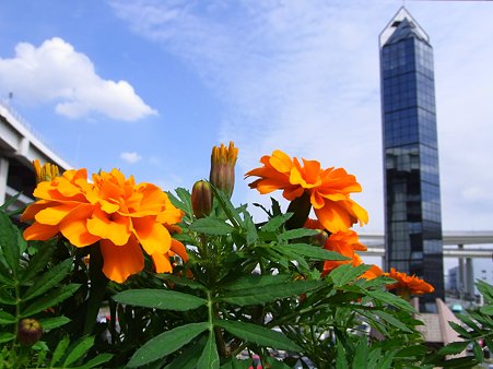 20090923_112344_0