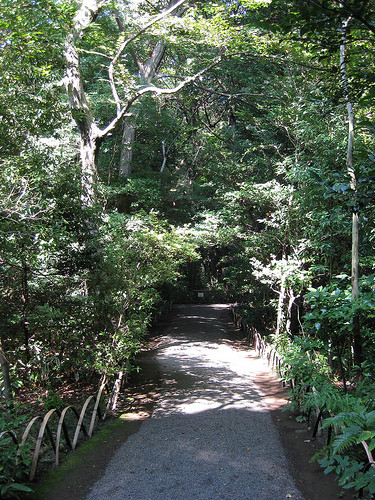Path in Meiji Jingu Inner Garden